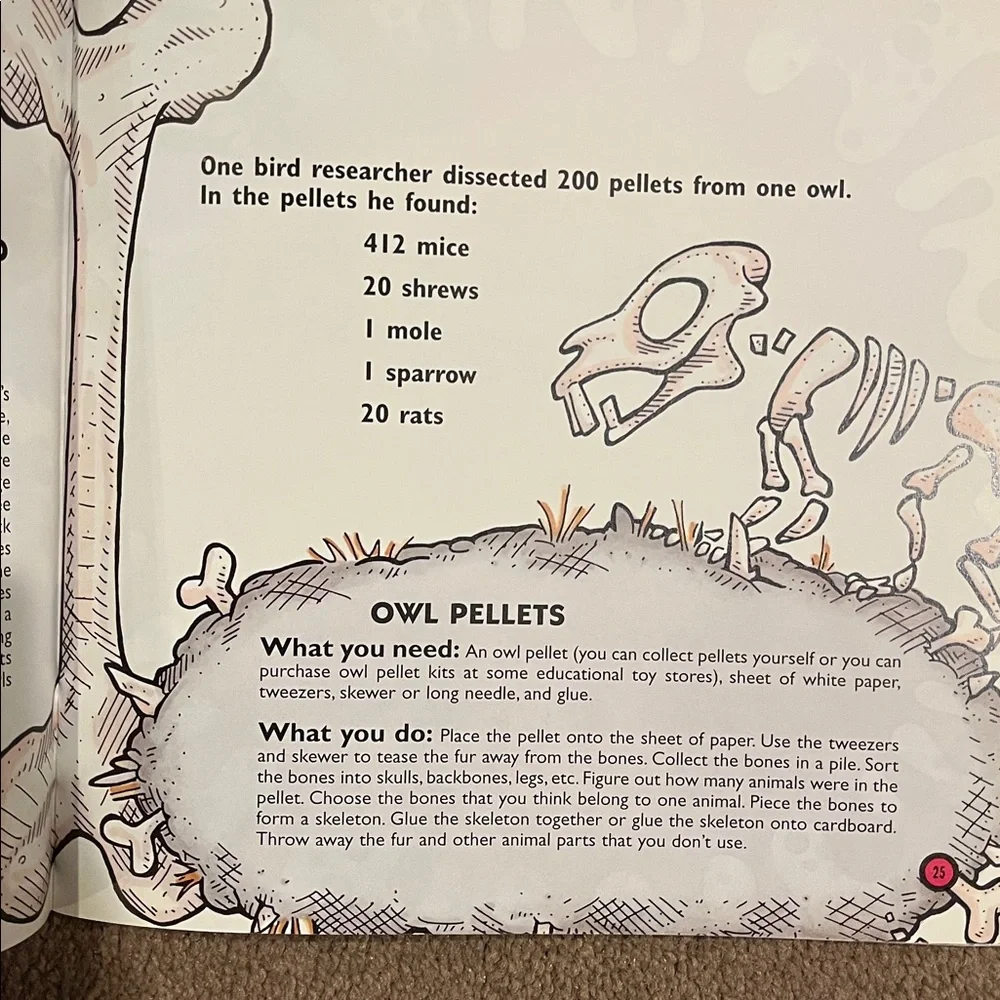 Scholastic diverse collection